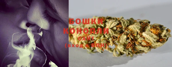 дживик Касимов