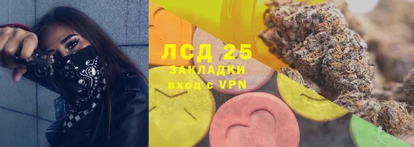 эйфоретик Карпинск