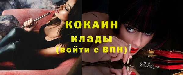 эйфоретик Карпинск