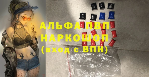 дживик Касимов